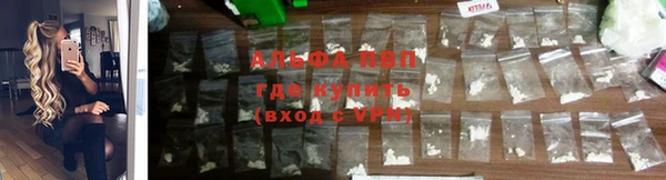 соль курить ск Бородино