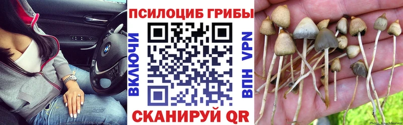купить закладку  Грайворон  Псилоцибиновые грибы ЛСД 