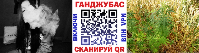 где можно купить   Грайворон  МАРИХУАНА SATIVA & INDICA 